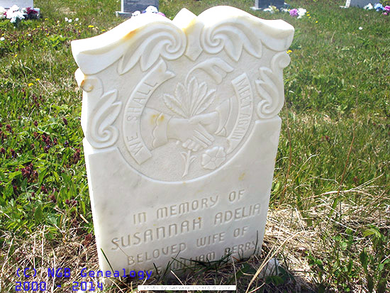 Susannah Adelia Perry