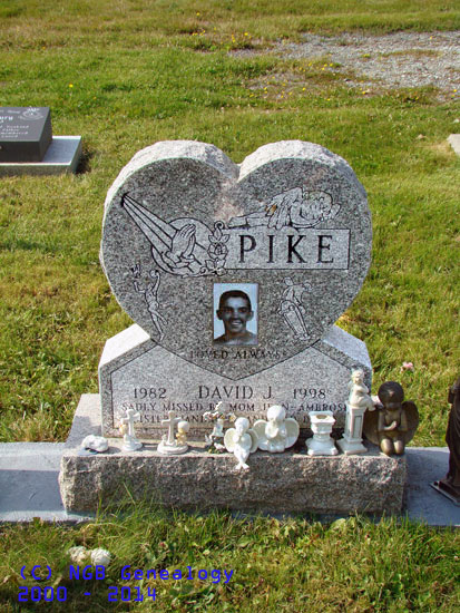 David J. Pike