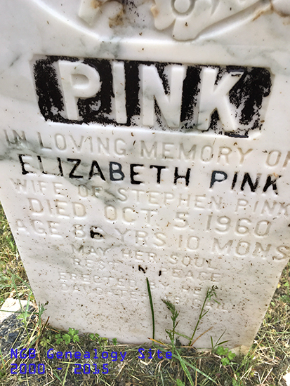 Elizabeth Pink