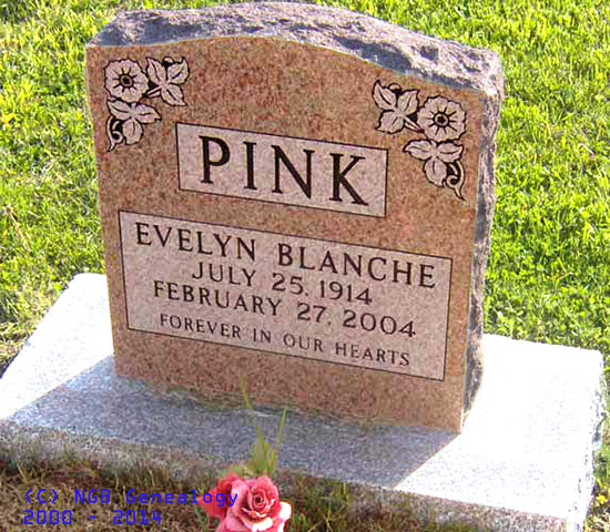 Evelyn Pink
