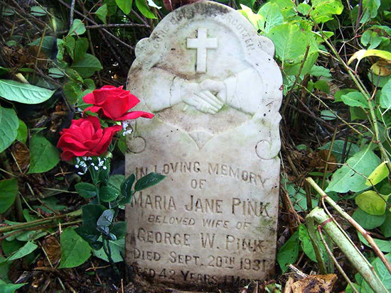 Maria Jane Pink