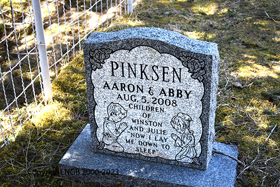 Aaron & Abby Pinksen