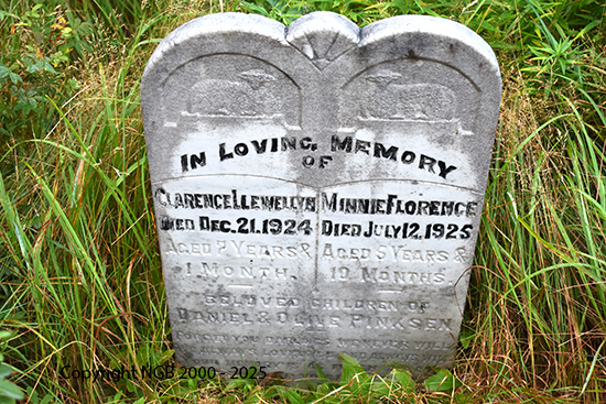 Clarence Llewellyn & Minnie Florence Pinksen 
