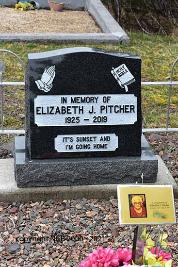 Elizabeth J. Pitcher
