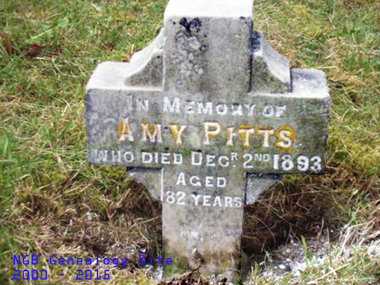 Amy Pitts