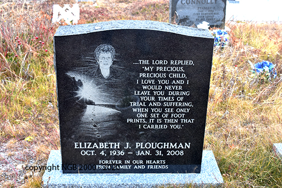 Eliabeth J. Plowman