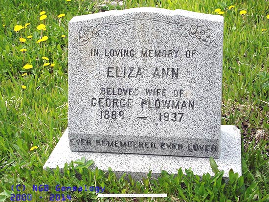 Eliza Ann Plowman