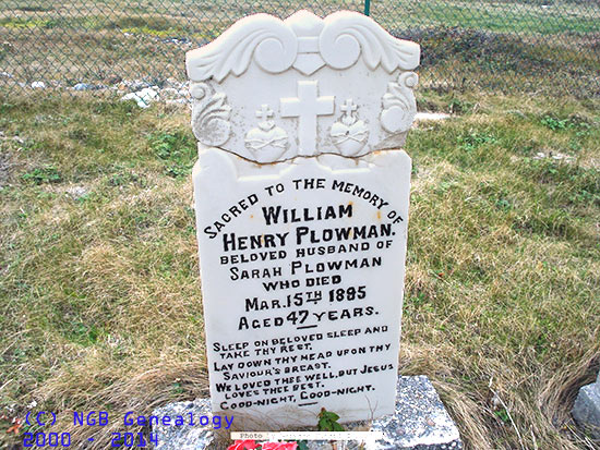 William Henry Plowman