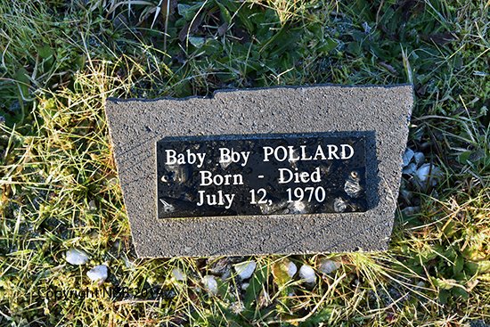 Baby Boy Pollard