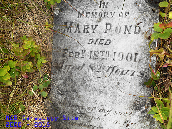 Mary Pond