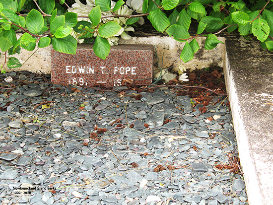 Edwin T. Pope