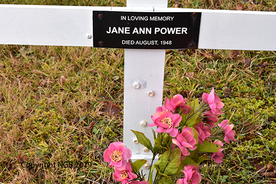 Jane Ann Power