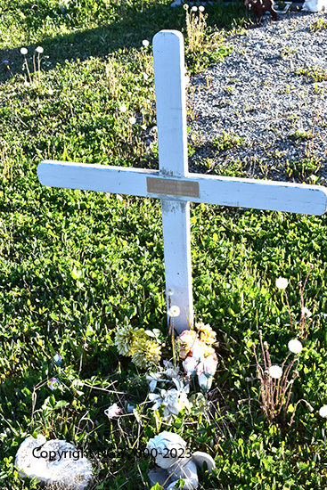 James Henry Preshyon