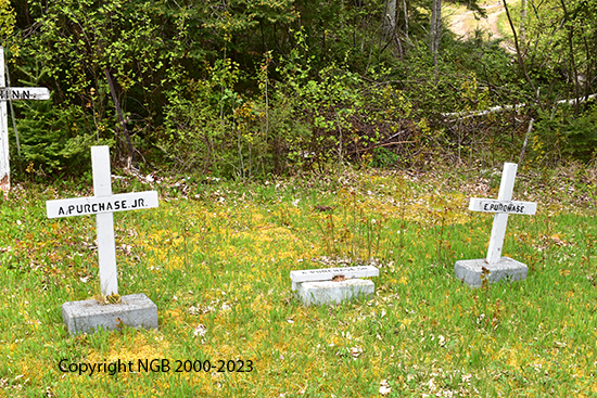 A. Purchase Sr, A Purchase Jr. & C. Purchase