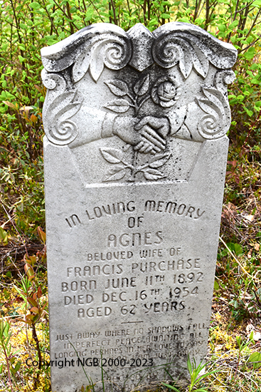 Agnes Purchase