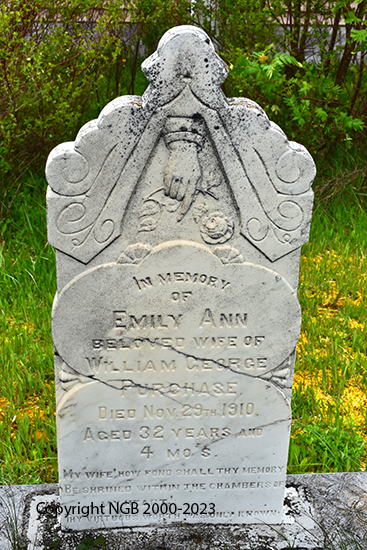 Emily Ann Purchase