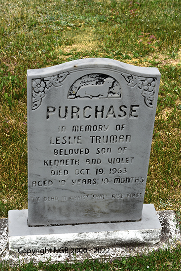 Leslie Truman Purchase