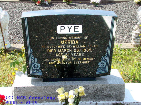 Merida Pye