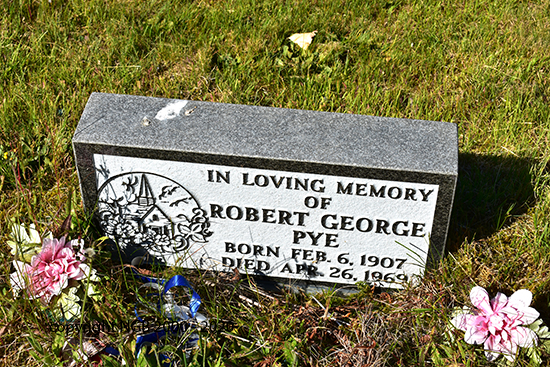 Robert George Pye