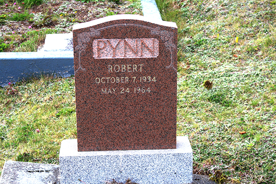 Robert Pynn