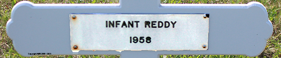 Infant Reddy