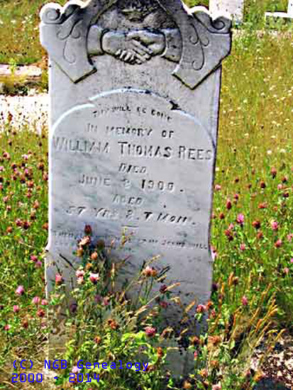 William and Thomas REES