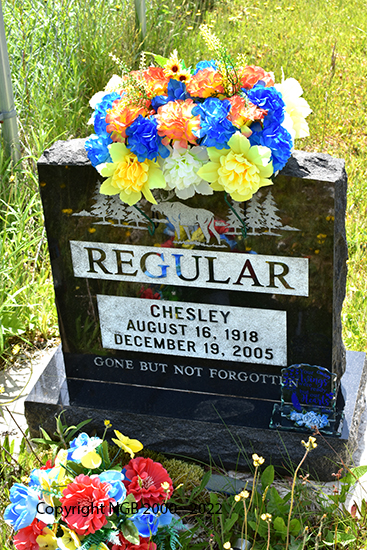 Chesley Regular