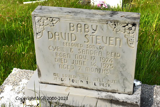 Baby DAvid Steven Reid