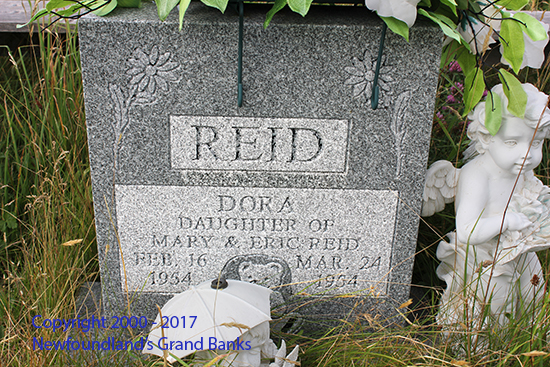Dora Reid