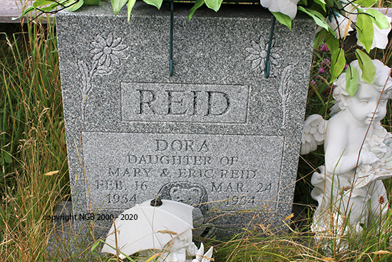 Dora Reid