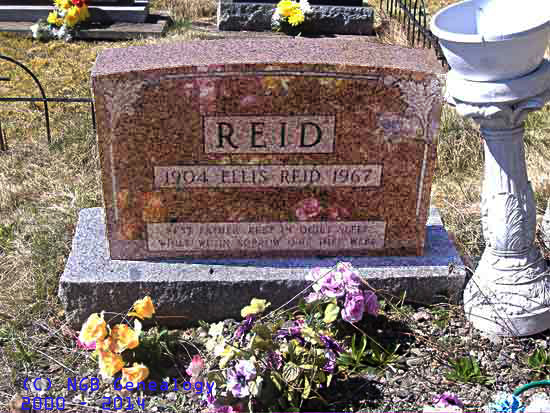 Ellis Reid