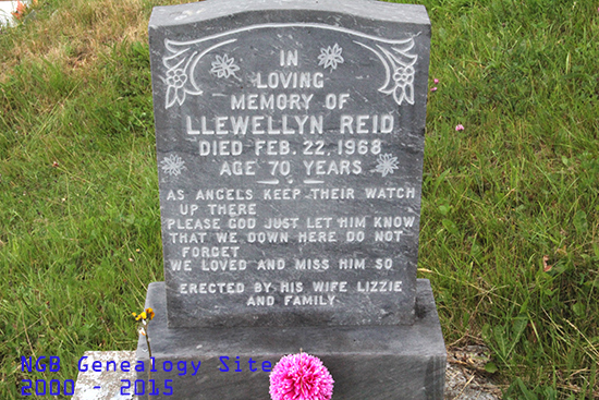 Llewellyn Reid