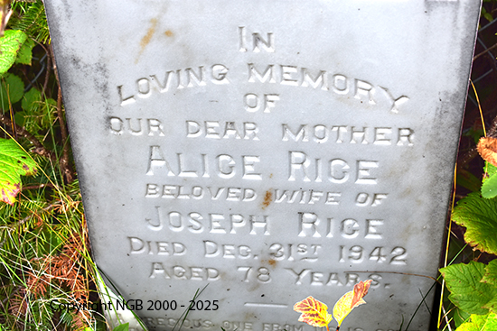 Alice Rice