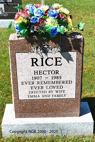 Hector Rice