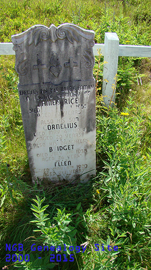 James, Cornelius, Bridget & Ellen Rice