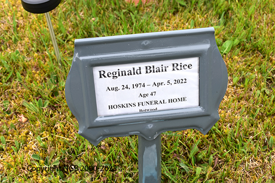 Reginald Blair Rice