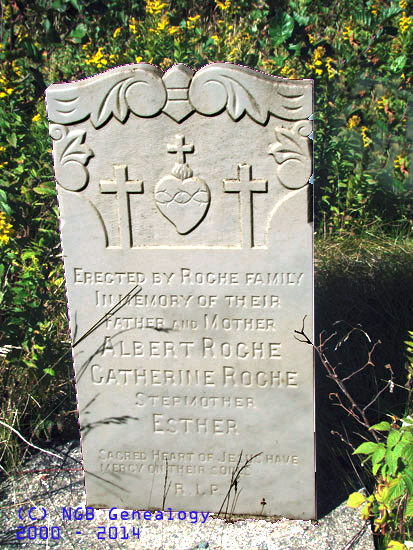 Albert and Catherine Roche