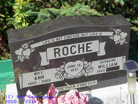 Ann Roche