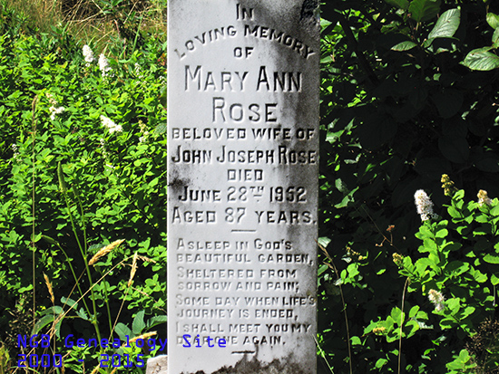Mary Ann Rose