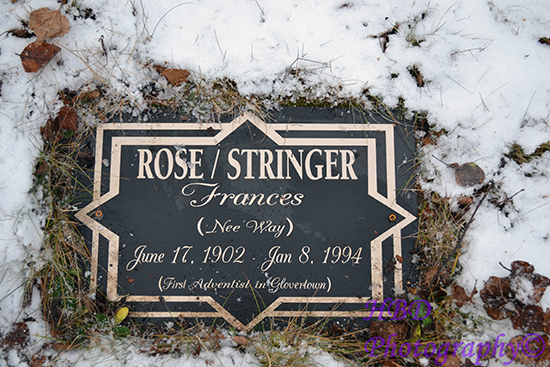 Frances Rose-Stringer