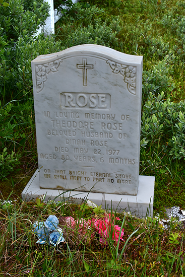 Theodore Rose