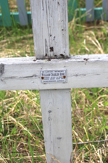 William Charles Rose