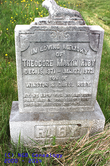 Theodore Ruby