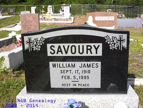 William James Savoury