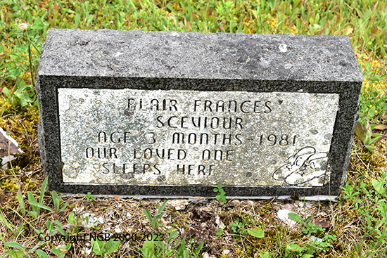 Blair Frances Sceviour