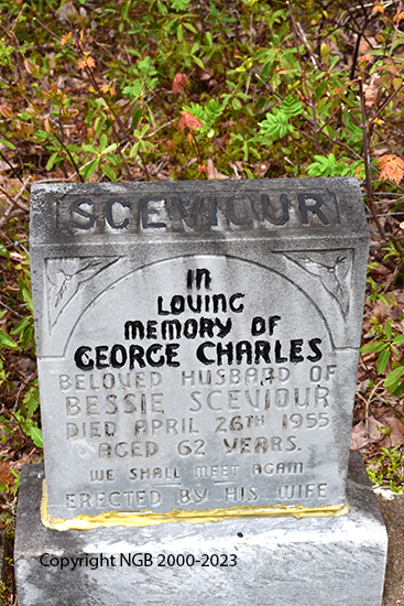 George Charles Sceviour