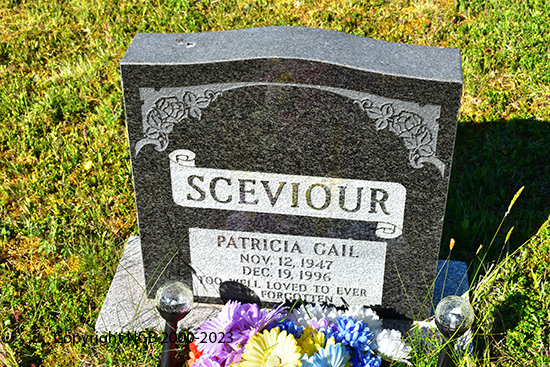 Patricia Gail Sceviour