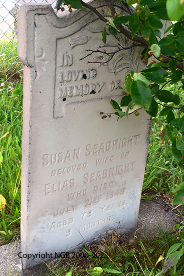 Susan Seabright