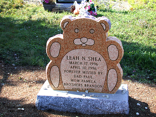 Leah N. Shea