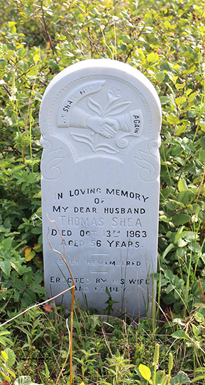 Thomas Shea